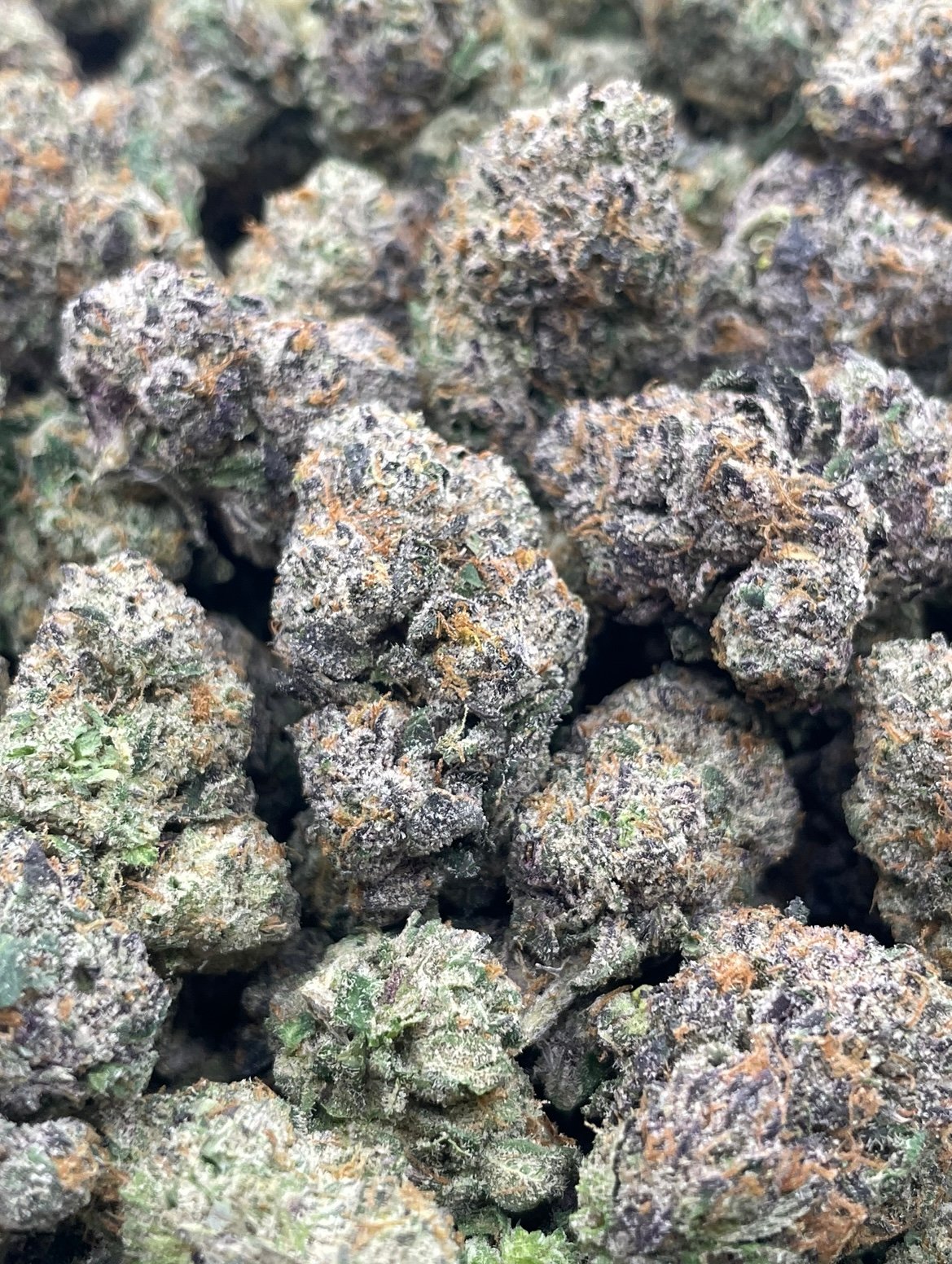 THCA FLOWER AAA GRADE- CANDY GELATO