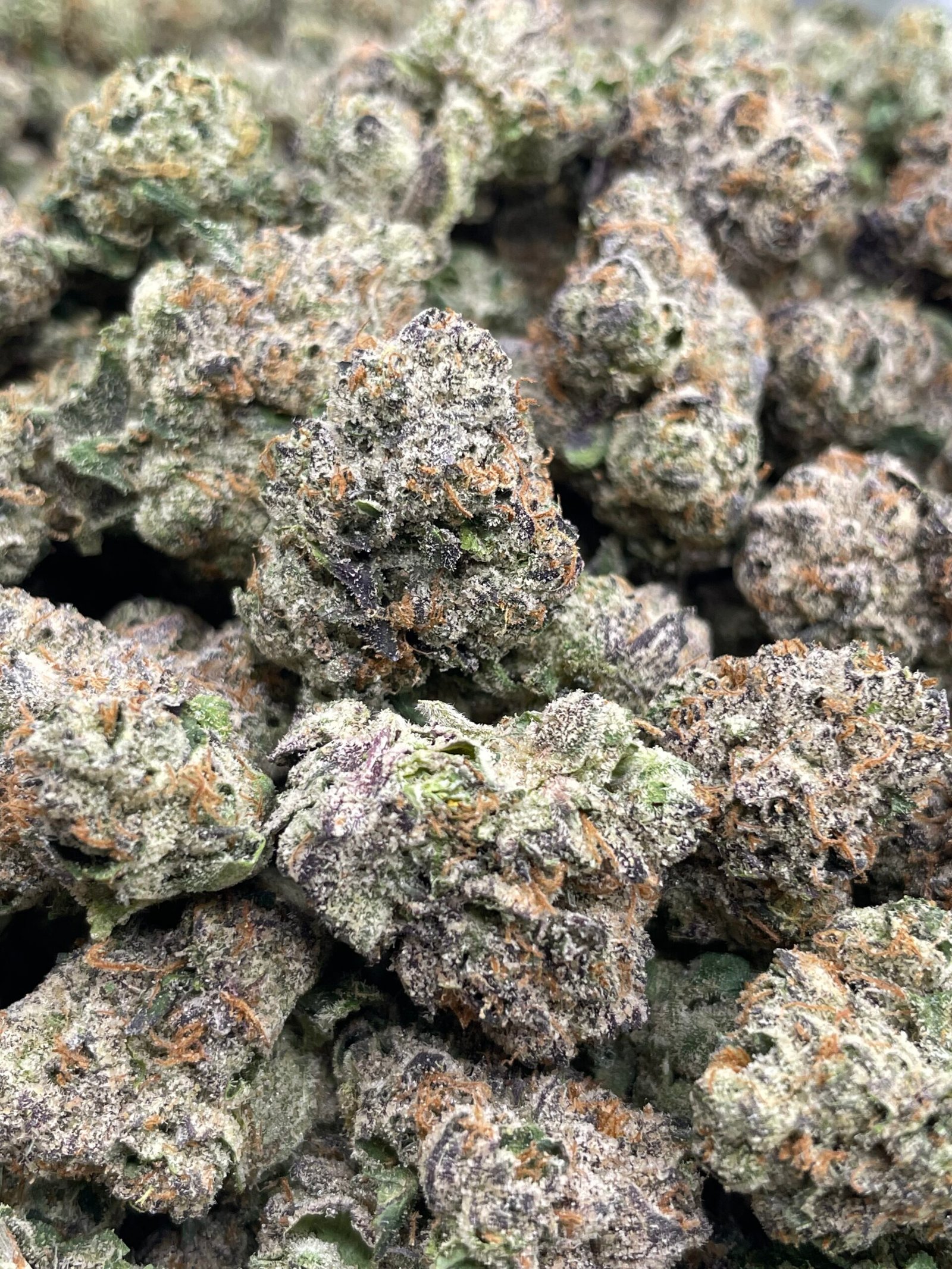 THCA FLOWER AAA GRADE- CANDY GAS - Image 2