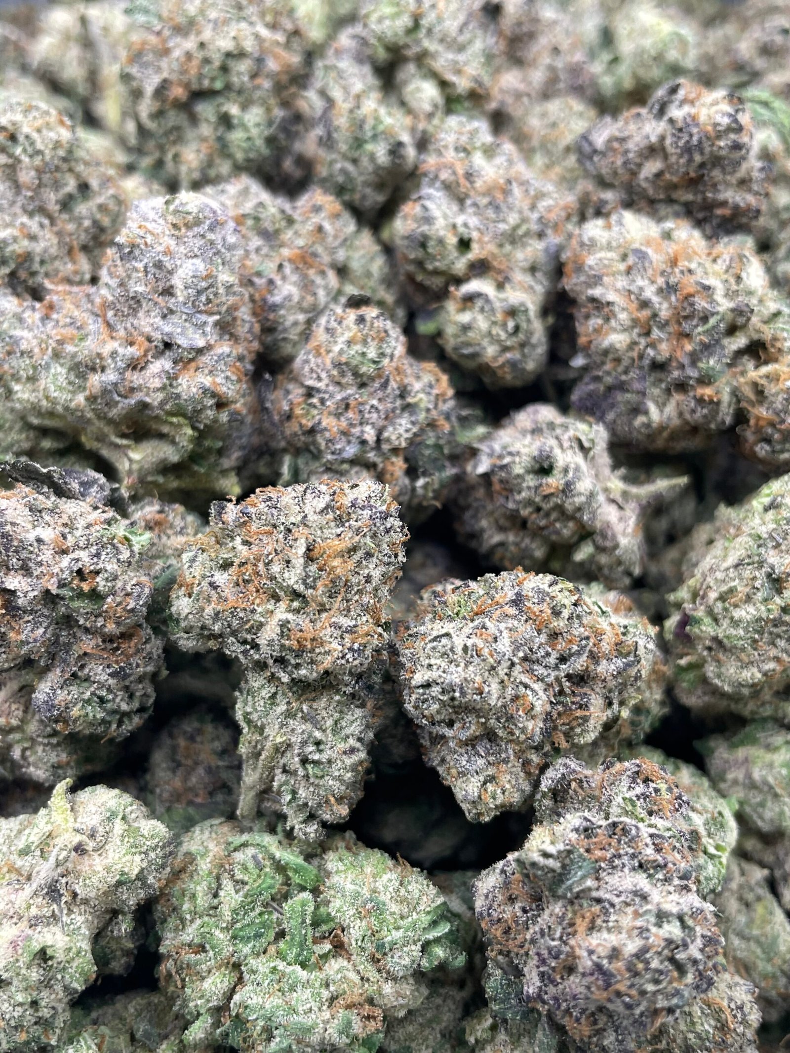 THCA FLOWER AAA GRADE- CANDY GAS - Image 3